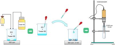 Cinnamon essential oil and its emulsion as efficient antibiofilm agents to combat Acinetobacter baumannii